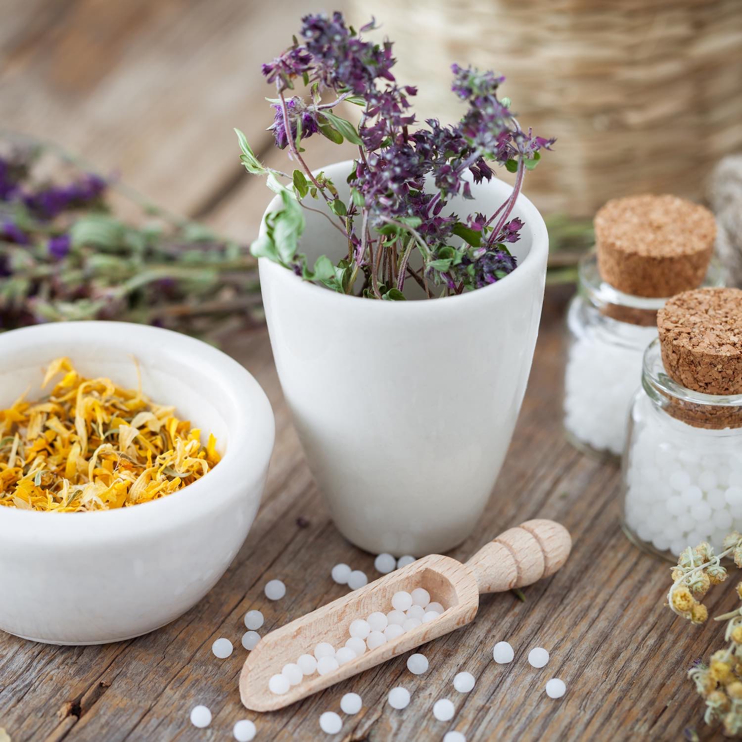Homéopathie Pharmacie Piffeteau Chalonnes-sur-Loire